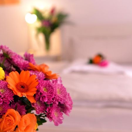 Alpha Hotel Garni Дитценбах Экстерьер фото